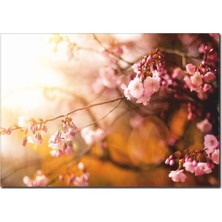 La Vita E Bella Soft Renklerde Kanvas Tablo DC-1039