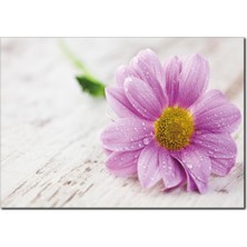 La Vita E Bella Lila Çiçek Temalı Kanvas Tablo DC-1048