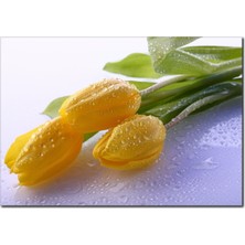 La Vita E Bella Sarı Laleler Temalı Kanvas Tablo DC-1061