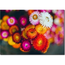 La Vita E Bella Renklerin Dünyası Temalı Kanvas Tablo DC-1072