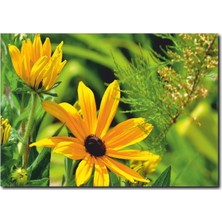 La Vita E Bella Papatya Çiçekler Kanvas Tablo DC-1097