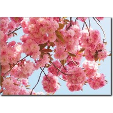 La Vita E Bella Dallarda Bahar Çiçekleri Kanvas Tablo DC-1101