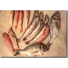 La Vita E Bella Balık Çeşitleri Görselli Kanvas Tablo DZ-1016