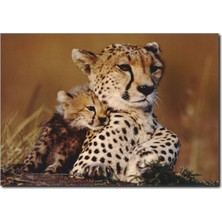 La Vita E Bella Leopar ve Yavrusu Temalı Kanvas Tablo HA-1002