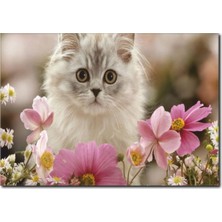 La Vita E Bella Sevimli Kedi Kanvas Tablo HA-1005