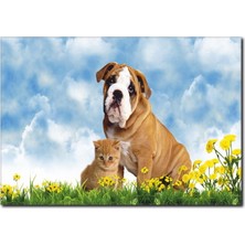 La Vita E Bella Kedi Köpek Dostluğu Kanvas Tablo HA-1007
