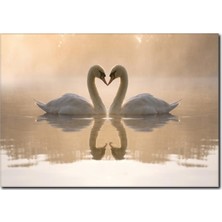 La Vita E Bella Kuğu Sevgisi Temalı Kanvas Tablo HA-1012