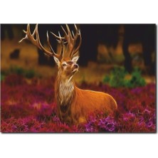 La Vita E Bella Geyik Temalı Fantastik Kanvas Tablo HA-1013