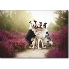 La Vita E Bella Köpeklerin Dostluğu Temalı Kanvas Tablo HA-1022