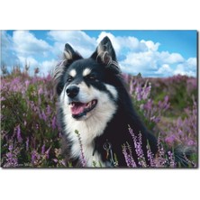 La Vita E Bella Asil Köpek Temalı Kanvas Tablo HA-1024