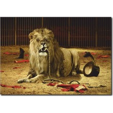 La Vita E Bella Sirk Aslanı Temalı Kanvas Tablo HA-1032