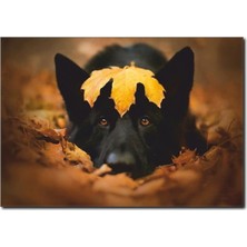 La Vita E Bella Sevimli Köpek Temalı Kanvas Tablo HA-1033