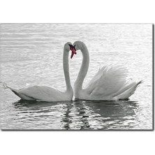 La Vita E Bella Gölde Kuğu Temalı Kanvas Tablo HA-1037