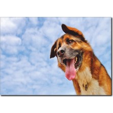La Vita E Bella Köpek Temalı Kanvas Tablo HA-1051