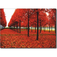 La Vita E Bella Kırmızı Yaprak ve Ağaçlar Temalı kanvas Tablo MN-1002