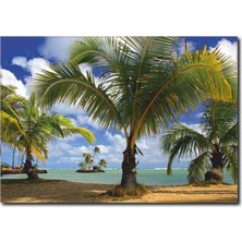 La Vita E Bella Palmiye Ağaçları Temalı kanvas Tablo MN-1005