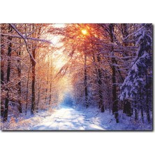 La Vita E Bella Karlı Yol Temalı Kanvas Tablo MN-1010