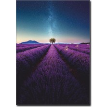 La Vita E Bella Lavanta Bahçesi Kanvas Tablo MN-1044