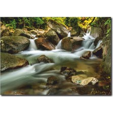 La Vita E Bella Şelale Temalı Kanvas Tablo MN-1063