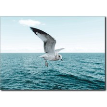 La Vita E Bella Deniz ve Martı Kanvas Tablo MN-1069