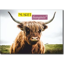 La Vita E Bella Nusret'i Arayan Bufalo Kanvas Tablo MN-1085