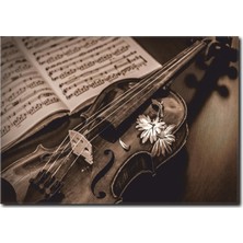 La Vita E Bella Siyah Beyaz Keman Detaylı Tablo MS-1014