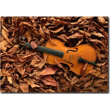 La Vita E Bella Keman Temalı Kanvas Tablo MS-1019