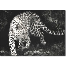 La Vita E Bella Siyah Beyaz Leopar Kanvas Tablo SB-1006