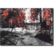 La Vita E Bella Sobahar Yaprakları Siyah Beyaz Kanvas Tablo SB-1022