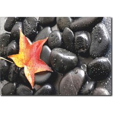 La Vita E Bella Islak Taşlar Kanvas Tablo SB-1025