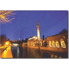 La Vita E Bella Urfa Balıklıgöl Kanvas Tablo TY-1022