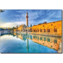 La Vita E Bella Urfa Balıklıgöl Kanvas Tablo TY-1023