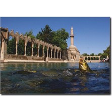 La Vita E Bella Urfa Balıklıgöl Kanvas Tablo TY-1026