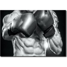La Vita E Bella Boksör Temalı Tablo YF-1015
