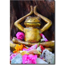 La Vita E Bella Yogacı Kurbağa Temalı Kanvas Tablo YF-1049