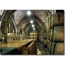 La Vita E Bella Şarap Mahzeni ve Şarap Fıçıları Kanvas Tablo YM-1043