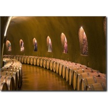 La Vita E Bella Şarap Mahzeni ve Şarap Fıçıları Kanvas Tablo YM-1044