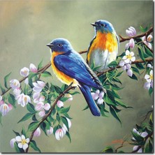 La Vita E Bella Küçük Kuşlar Yağlı Boya Kanvas Tablo RT-1017