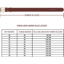 Trend Deri  Kahverengi Spor Demir Tokalı Kolon Kemer 4 cm