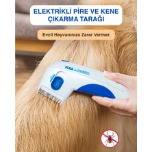 Als Flea Doctor Pilli Pire Tarağı