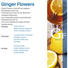 Akscent Ginger Flowers Tüm Koku Makinelerine Uyumlu Koku Makinesi Koku Kartuşu Esansı 250 ml