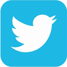 Sticker Atölyesi Twitter Logo Sticker - 10109