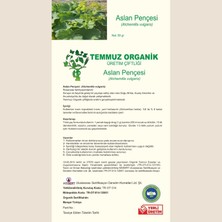 TEMMUZ ORGANİK Aslan Pençesi 50 gr