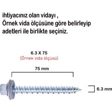 Kumru 6,3x60 Betofast Vida 100 'lü