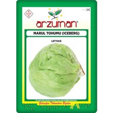 Arzuman Iceberg Marul Tohumu 5 gr Göbekli Marul