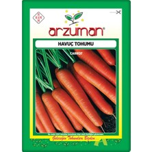 Arzuman Havuç Tohumu (10 Gr)