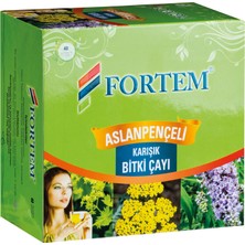 Fortem Aslan Pençeli Hanım Çayı