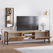 Decormet Paola Tv Sehpası Safir Meşe