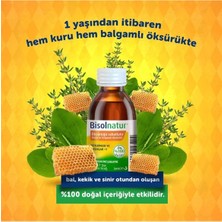 Bisolnatur Şurup 94 ml x 3