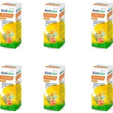 Bisolnatur Şurup 94 ml x 6